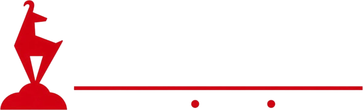 Stadtmarketing Kitzbühel – Wirtschaft · Leben · Zukunft